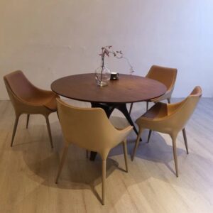 DINING TABLE SET 1+4
